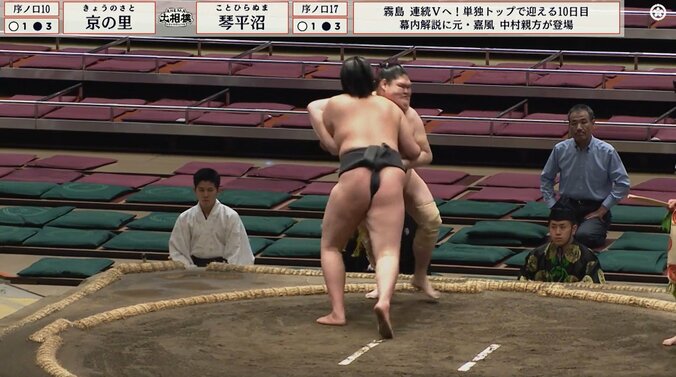 「上半身とのギャップが」「癖になるフォルム」185センチ長身巨漢力士の“ほっそり美脚”にファン熱視線 4枚目