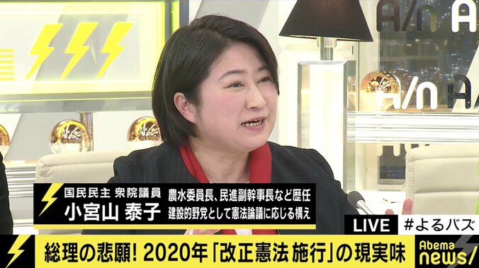 7月の参院選と同時に国民投票の可能性も？野党からは「安倍政権では改憲議論はできない」との声も 5枚目