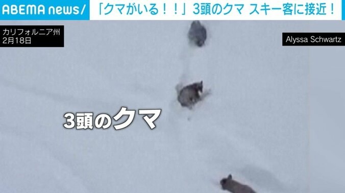 カルフォルニア州