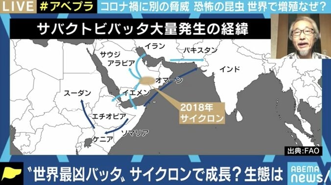 コロナ禍で防除に苦慮…世界でバッタが大量発生、過去のケースでは最長15年間も 3枚目