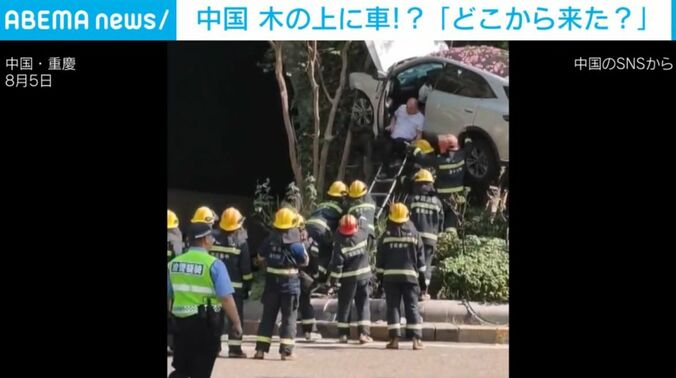 中国