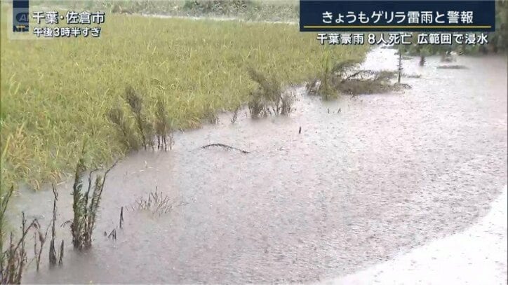 田んぼ