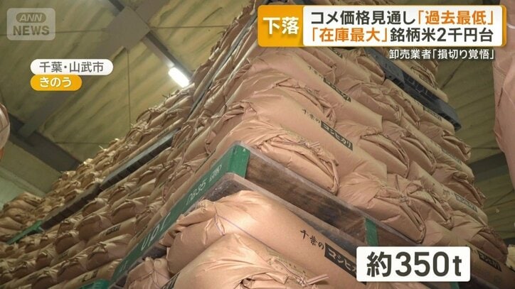 コメで埋め尽くされた倉庫