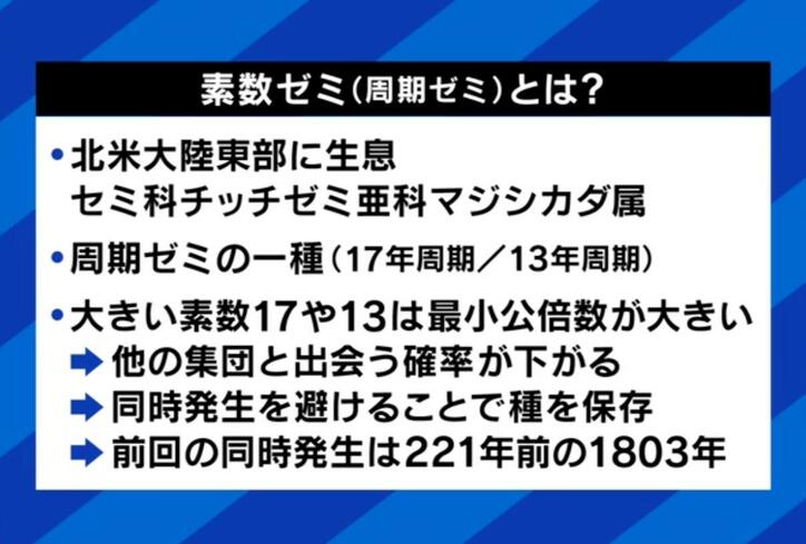 【写真・画像】ペットの“認知症”予防と対策は?「安楽死」を選択する人も…介護&看取った当事者に聞く「恩返しする最後のチャンス」 2枚目