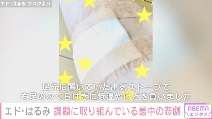 【写真・画像】エド・はるみ、難関国立大の博士課程に合格し生活激変 忙しくて彩りがなくなった手作り弁当公開 2枚目