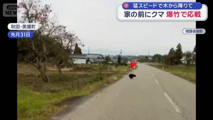 爆竹を使用すると走り去った