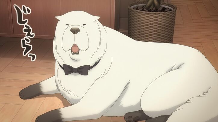 【写真・画像】アニメ『SPY×FAMILY』12月27日(土)放送の第50話「下水道の死闘」場面カット解禁　6枚目