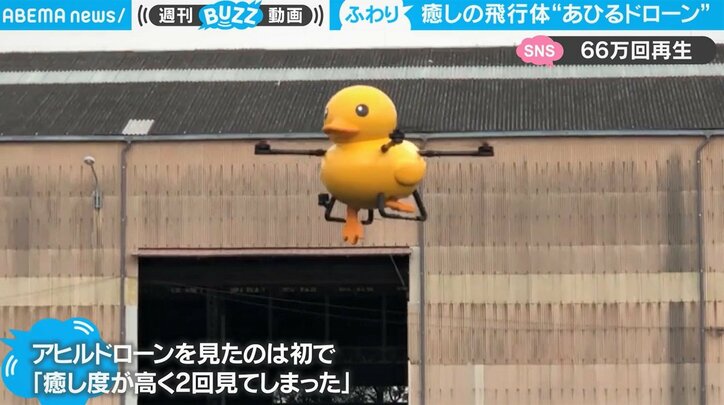 衝撃の癒し度に「思わず二度見」 妙に“じわる”アヒル型ドローンに反響 「足もパタパタさせて可愛い」