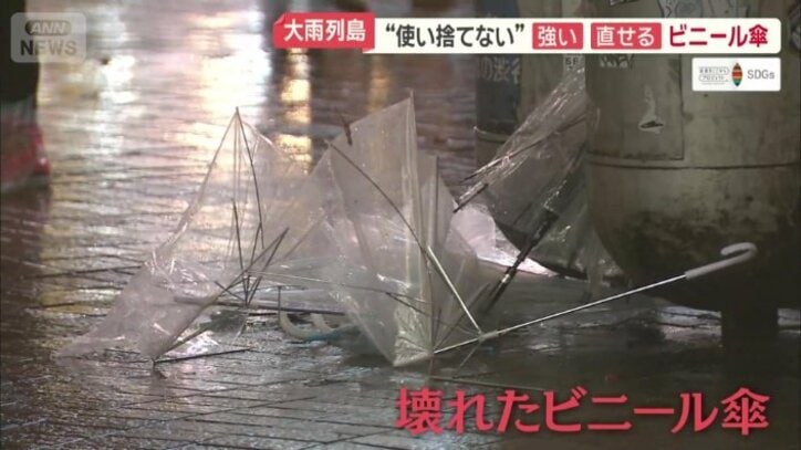 壊れたビニール傘