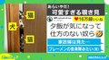 夕飯が気になって…犬と猫の可愛すぎる“覗き見”に悶絶「ブレーメンの音楽隊」「幸せな気持ちになる」