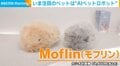 飼い主次第で「400万通りの性格」に! “生き物のように”鳴き動くAIペットロボットが変える日常と医療 「もう放置できない」大人も虜にする癒しの力