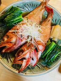 ニッチェ 江上敬子『見るぞー!!』