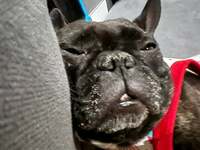 Seiko Darvish『今の僕に勝てるか』