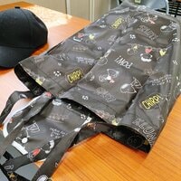 遼河はるひ『移動バッグとおやつ。』