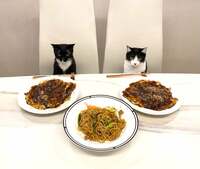 藤あや子『差し入れの大好物』