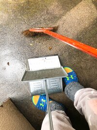 堀ちえみ『不協和音は作りたくないト音記号さん』