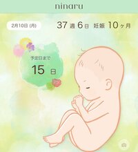 川島菜月『残り15日』