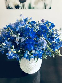 稲垣吾郎『一夜明けて』