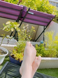 渡辺美奈代『テラスでのんびり』