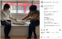 佐藤健＆井上真央の猫と戯れる姿にファン悶絶「癒される」「このシチュエーションだけで絵になる」『100万回言えばよかった』