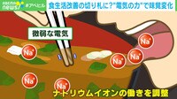 【映像】電気の力で塩味を調整!? 箸型デバイス