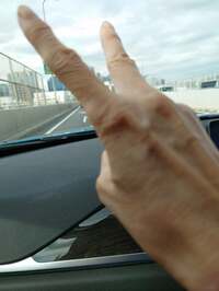 秋野暢子『検査　良好でした。』