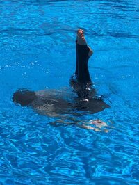 ダイアモンド☆ユカイ『俺のニーチェ』