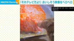 無心でテレビ画面を舐める犬の“トリッキーな行動”が「食いしん坊に癒される」「美味しくはないだろうww」と話題