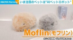 飼い主次第で「400万通りの性格」に！ “生き物のように”鳴き動くAIペットロボットが変える日常と医療 「もう放置できない」大人も虜にする癒しの力