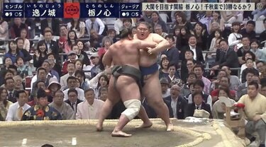 栃ノ心の剛腕発揮！ 215キロ逸ノ城とがっぷり四つの力相撲で堂々