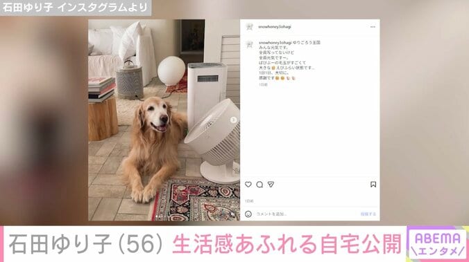 石田ゆり子 Instagramより