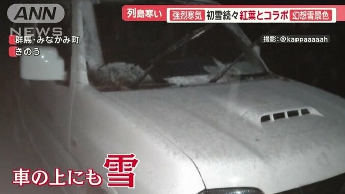 車のボンネットにも雪が…