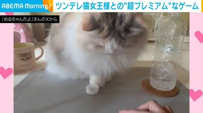 めるちゃん