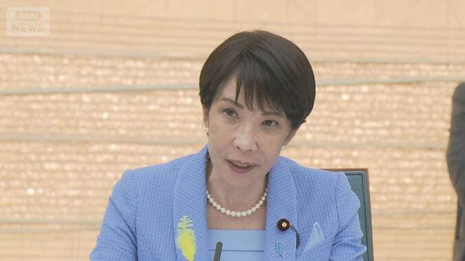 AI、半導体などに官民で370兆円投資　政府が成長戦略原案　「フィジカル」開発促進 1枚目