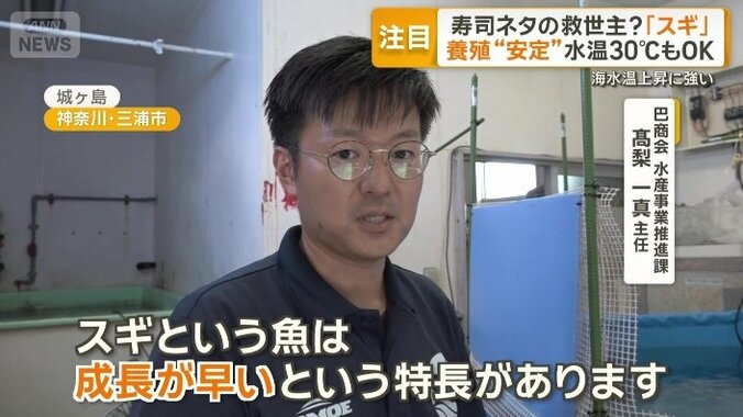 巴商会　水産事業推進課　高梨一真主任