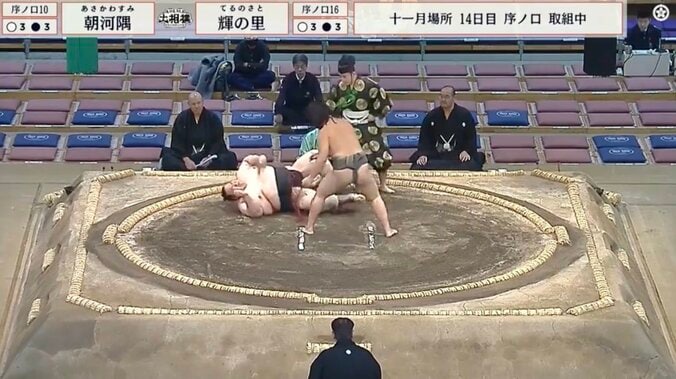 衝撃的な結末「実際の様子」