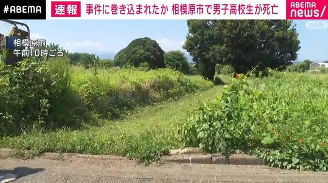 神奈川・相模原市