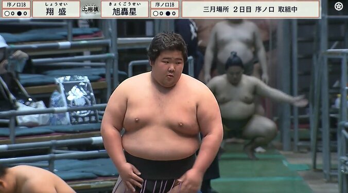 「なんだこのカワイイ生き物」18歳新人力士、“癒し全開”キャラに引き込まれるファン続出「可愛過ぎやしませんか？」 2枚目