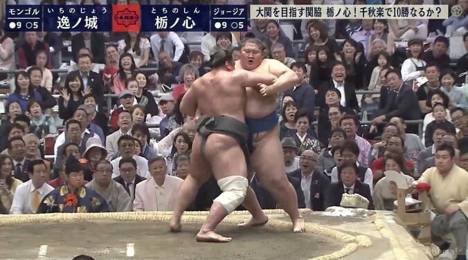 栃ノ心の剛腕発揮！　215キロ逸ノ城とがっぷり四つの力相撲で堂々勝利　来場所大関挑戦へ 1枚目