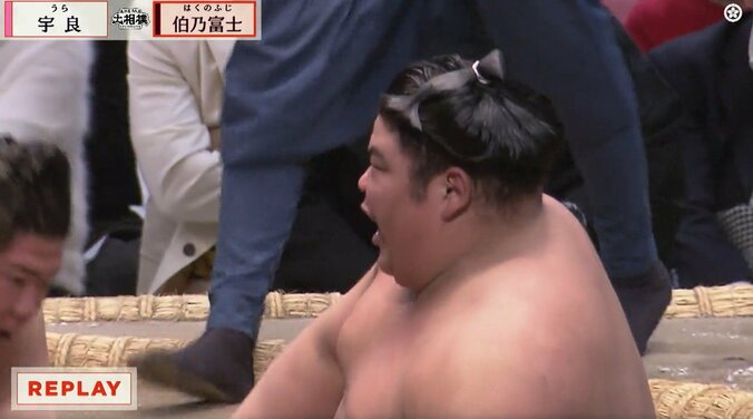 「あんなに痛がるなんて」伯乃富士、宇良を撃破も“見たことない”形相 「ただモノじゃない」識者は驚嘆 4枚目