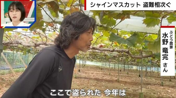 ぶどう農家の水野竜完さん