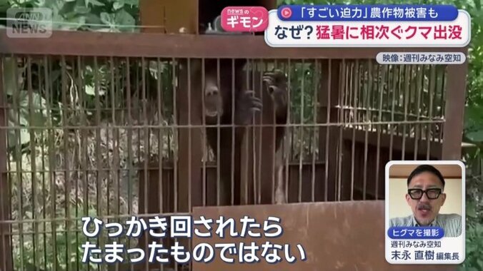 鋭い爪を持つ