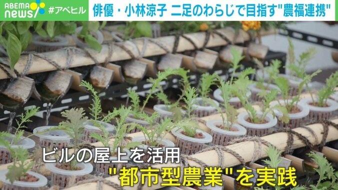 「訂正印さえ知らなかった俳優」が農園経営者に なぜ、小林涼子は「日焼け」も「超多忙」も厭わないのか？ 2枚目