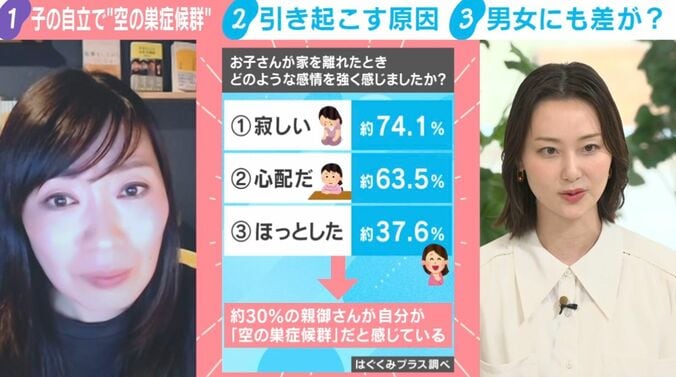 はぐくみプラス調べ