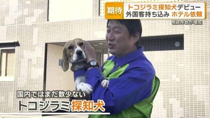 新戦力のエルちゃんに期待