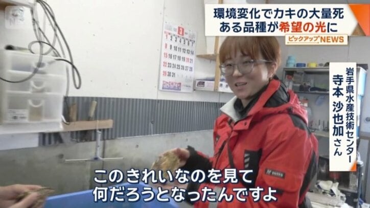 岩手県水産技術センター　寺本沙也加さん