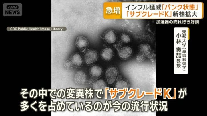 新たな変異株「サブクレードK」が出現