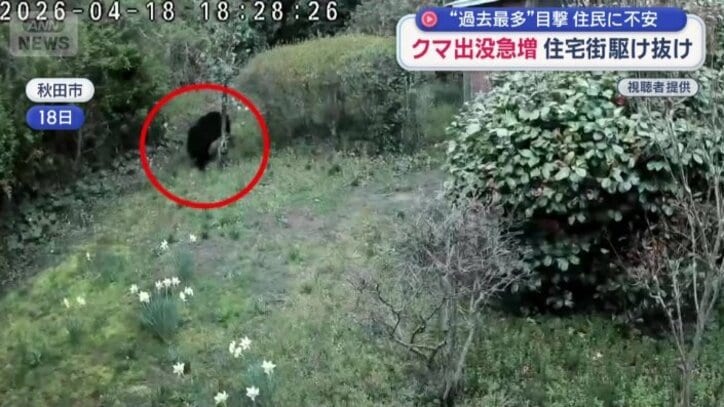 近くの住宅でも、庭にクマが侵入