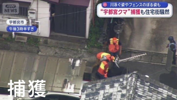 栃木県宇都宮市でクマが捕獲された