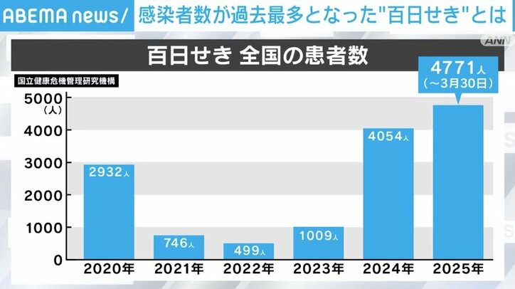 百日せき 全国の患者数